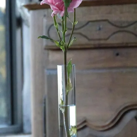 住宿加早餐酒店 D'hotes Le Plassalou