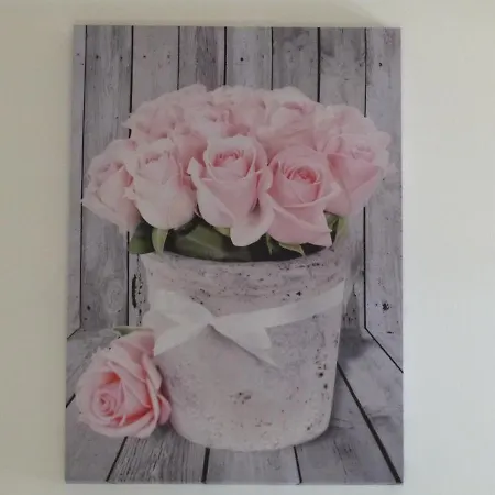 D'hotes Le Plassalou Frühstückspension Esclauzels