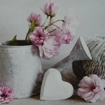 D'hotes Le Plassalou B&B 3*